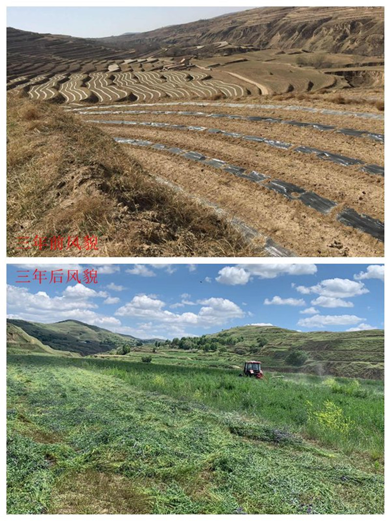 202005221590131232870102.jpg 4b11fb70-f1f8-4e1d-a8b8-1b38b9f45540.jpg